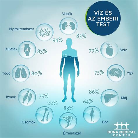 Az emberi test víztartalma életkor szerint