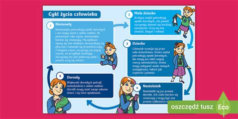 Infografika a bölcsőhalál kockázati tényezőiről
