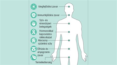 A gyógygombák hatása az emberi szervezetre