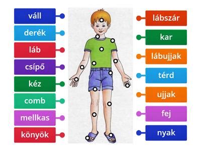 Az emberi test különböző részei, ahol gyakran előfordulnak véraláfutások