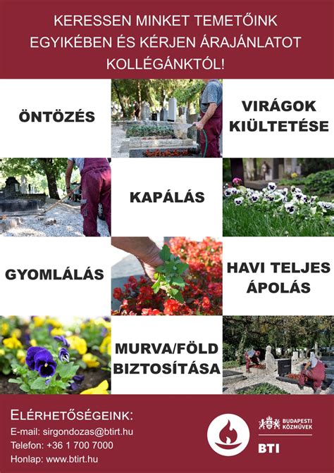 Temetői tájékoztató felület