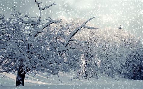 Hóesés St. Blasienben