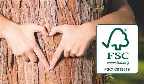 FSC® logó és jelentése