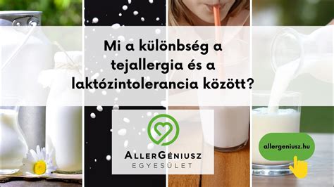 A tejallergia és laktózintolerancia közötti különbségek illusztrálása