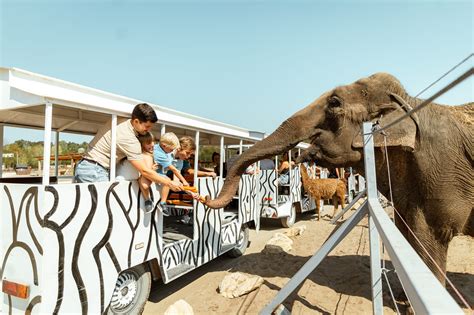 Ajándékkupon a Richter Safari Parkba