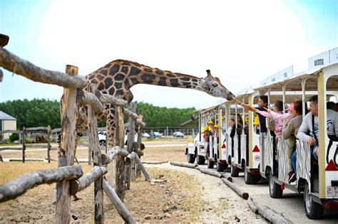 A Richter Safari Park állatmentési és fajmegőrzési programja