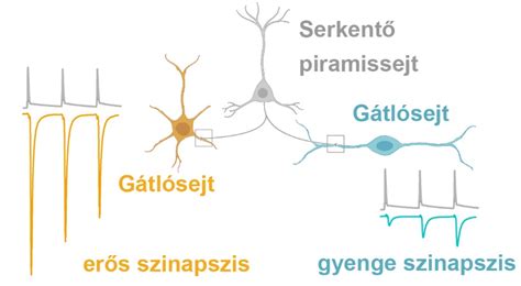 különböző típusú csecsemőtápszerek