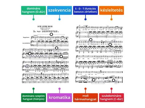 Infografika: A zenei elemek (ritmus, melódia, harmónia) és azok magzati megfelelői