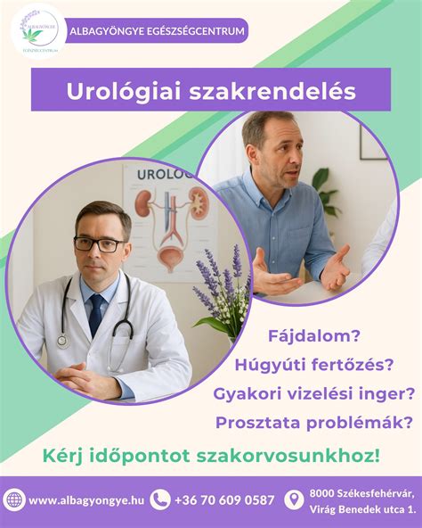 A húgyúti rendszer anatómiája és a gyakori vizelési inger összefüggései