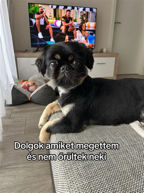 Vicces félreértések, amiket a népdalok okoznak