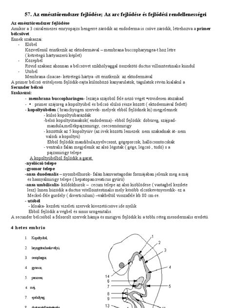 Az Apert-szindróma jellegzetes arcvonásai és kézfejlődési rendellenességei