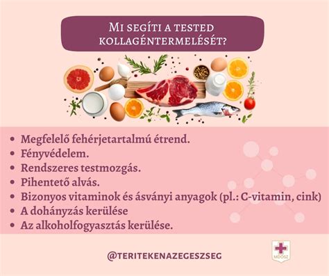 A kötőszövet anatómiája és a fascialazítás hatásai