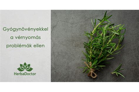 Gyógynövények az alacsony vérnyomás kezelésére