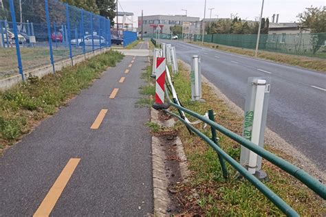 Kiálló lapocka illusztrációja