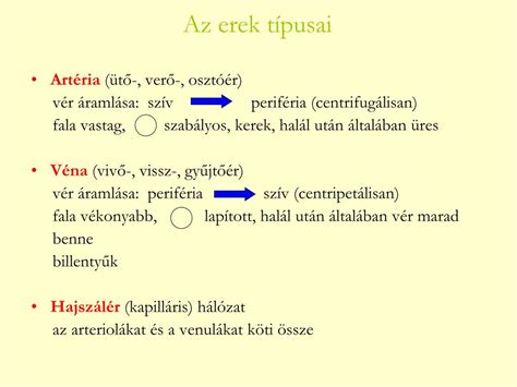 A köldökzsinór felépítése és az erek áramlási iránya