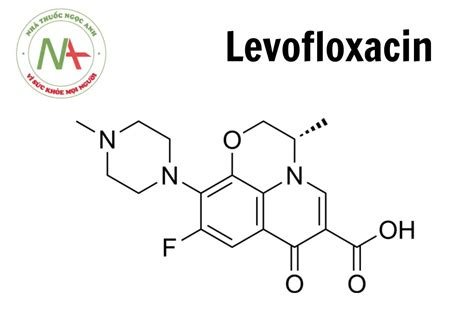 A levofloxacin hatásmechanizmusa a baktériumokra