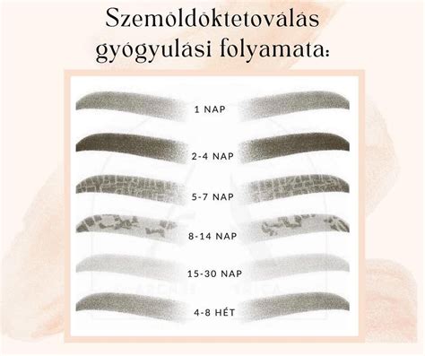 A véraláfutás gyógyulási fázisai
