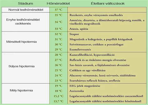 Különböző típusú sérülések, amik hematómát okozhatnak