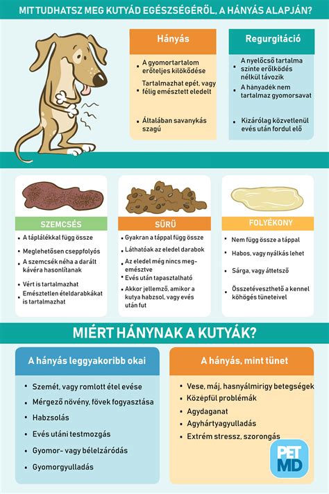 A gyermekkori hányás okai infografika