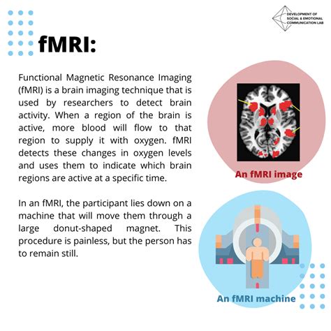 fMRI vizsgálat csecsemőknél