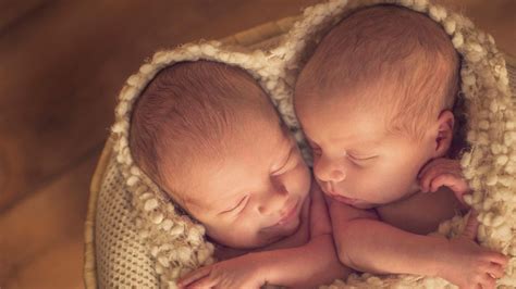 Ikerterhesség szülés