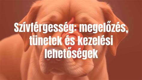 CMV kezelési lehetőségek