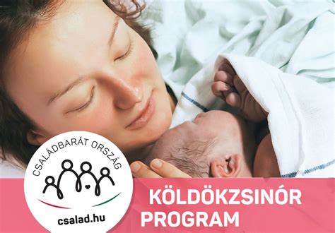 Statisztika a Köldökzsinór Program támogatásainak igényléséről