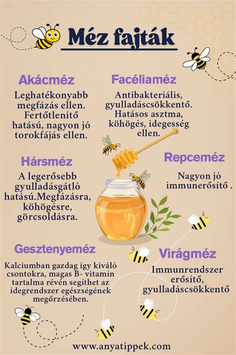A méz összetételének diagramja