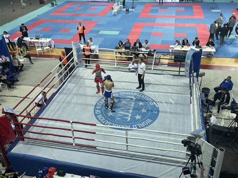 Kick-box mérkőzés