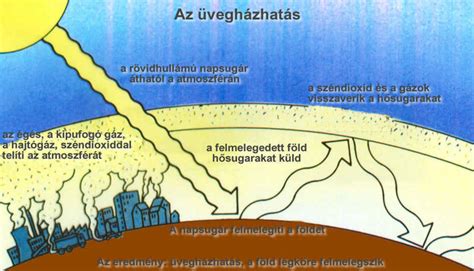 Illusztráció az emésztőrendszerről és a gázképződés folyamatáról