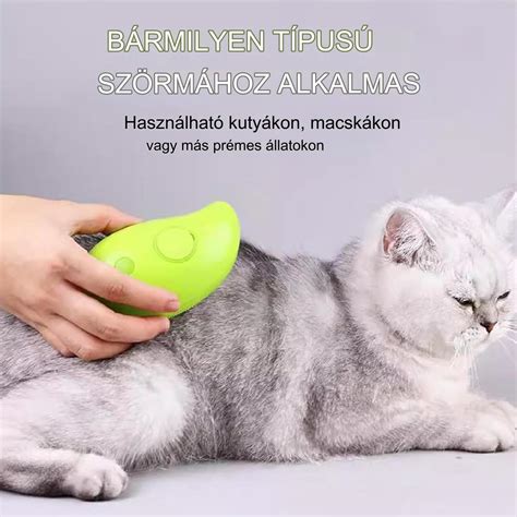 macskák szagolgatása rácson keresztül