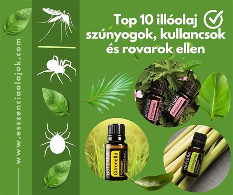 Szúnyogok és kullancsok