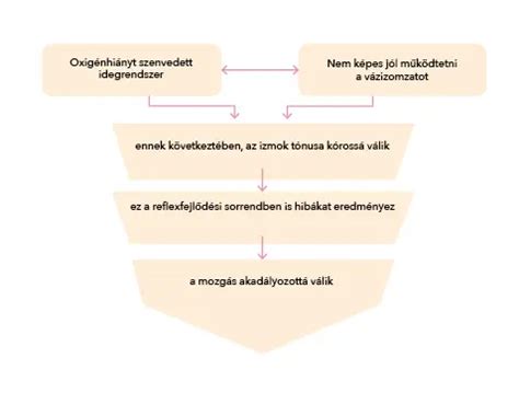 Az agyi oxigénhiány okai és következményei csecsemőkorban
