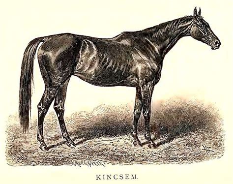 Kincsem portré