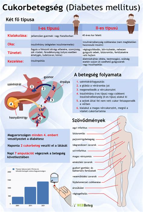 Infografika: A belgyógyászati betegségek leggyakoribb típusai