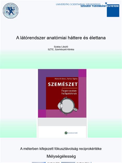 A kismedencei izomzat és a gát területének anatómiai vázlata