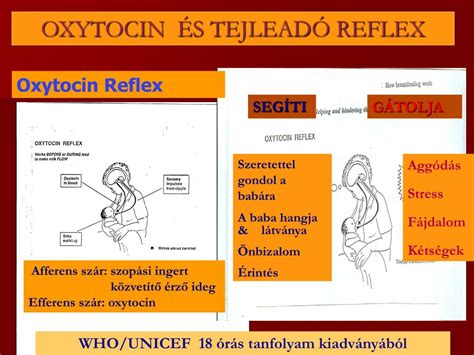 erős tejleadó reflex