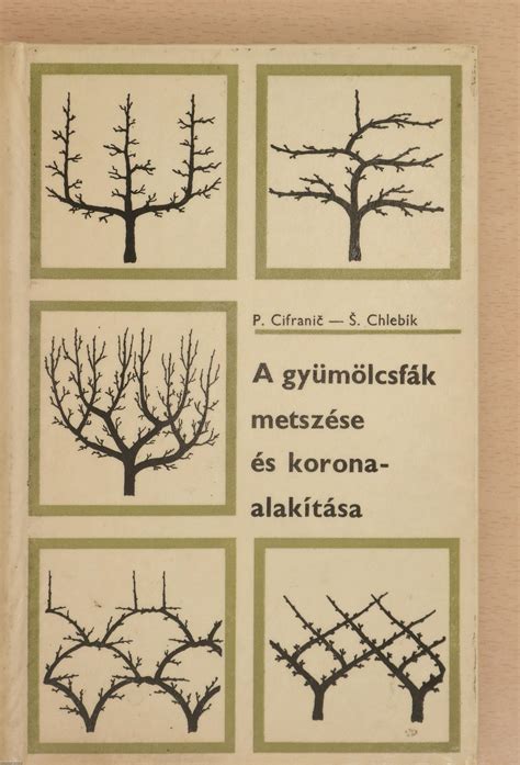 gyümölcsfa metszési technikák ábrája