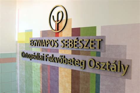 Egynapos sebészet működési elvét bemutató infografika