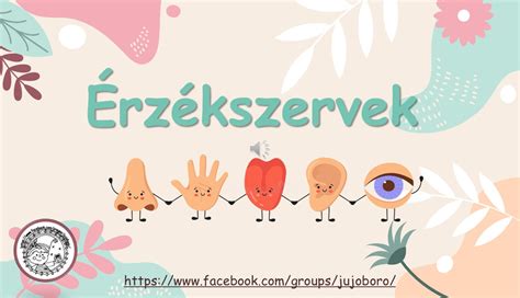 Az érzékszervek fejlődése a magzatban