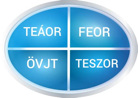 FEOR kódok rendszere