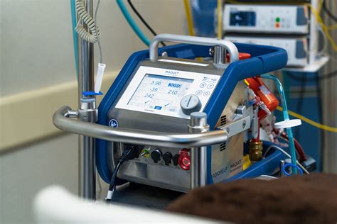 ECMO készülékkel támogatott újszülött