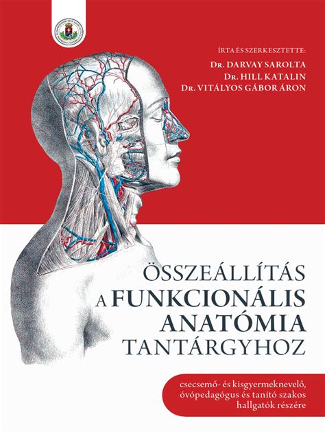 Emésztőrendszeri anatómia