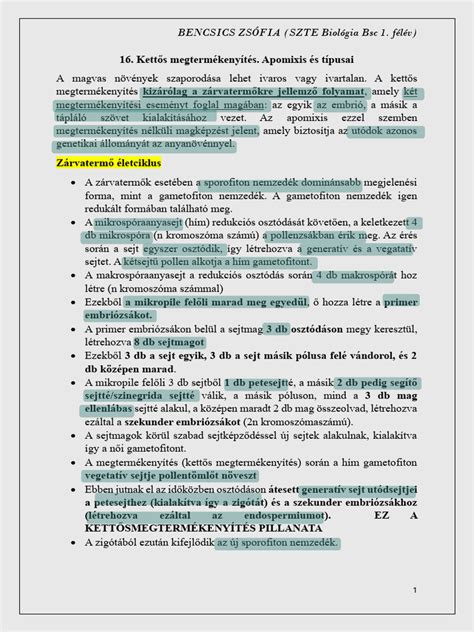 A testen kívüli megtermékenyítés folyamata