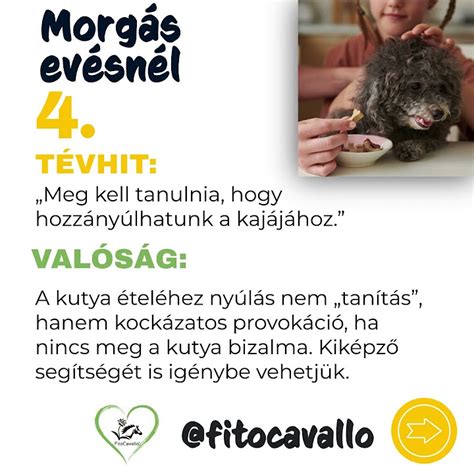 felelősségmegosztás evésnél