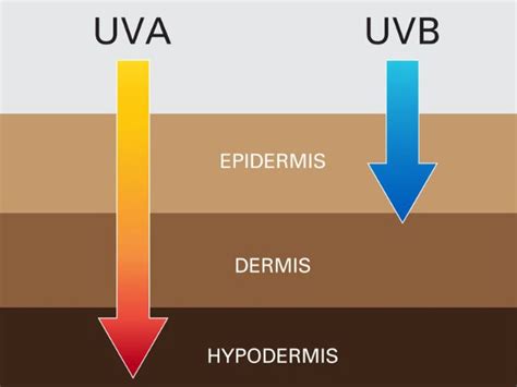 SPF faktorok jelentése