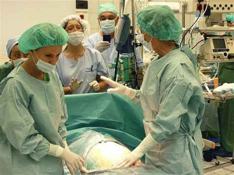 Agyhalott kismama donor eset illusztrációja