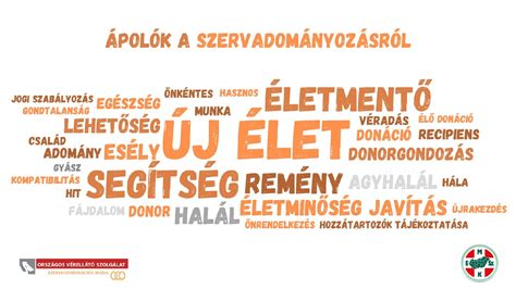 Szervadományozás folyamatábrája
