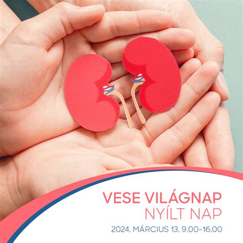 A Vese Világnapja a női egészség megőrzéséért