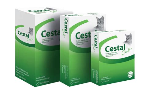 Macska féregtelenítő tablettát kap